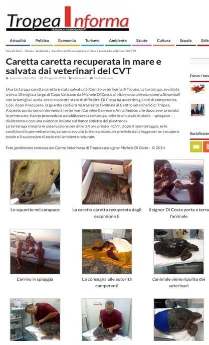 Il salvataggio della Tartaruga caretta caretta Tropea Informa