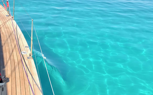 Noleggio gommoni a Tropea e in tutta la Costa degli Dei