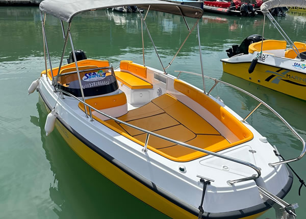 590 Limited Edition